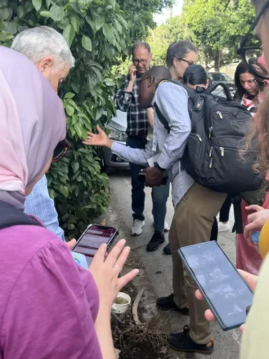 urban vector mapping field training