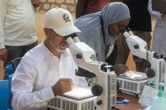 mosquiteoes identification on the field