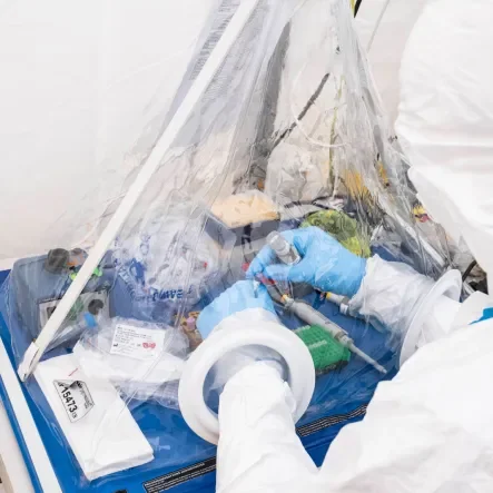 Innovatives approaches for pathogen surveillance