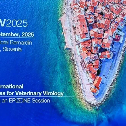 ESVV 2025 CONGRESS